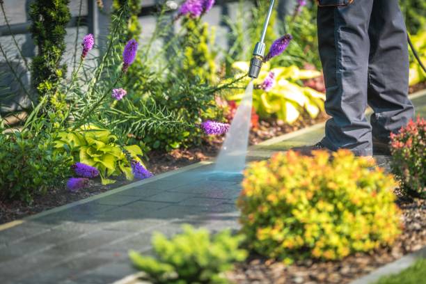 Best Pool Deck Cleaning  in Port Carbon, PA