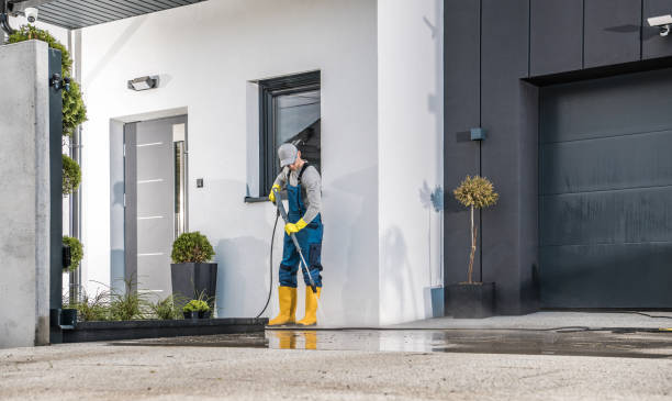 Best Soft Washing  in Port Carbon, PA